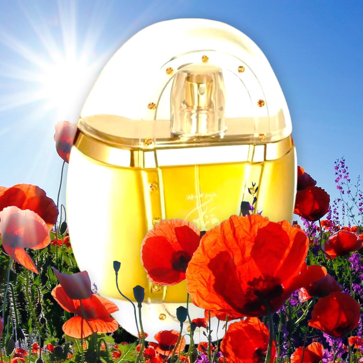 Spray collection. EDP/EDT