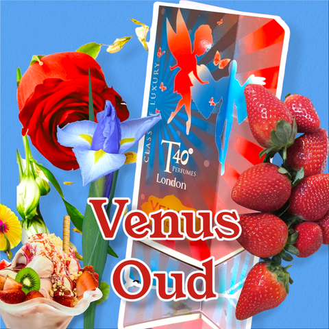 Venus Oud pure 100ml
