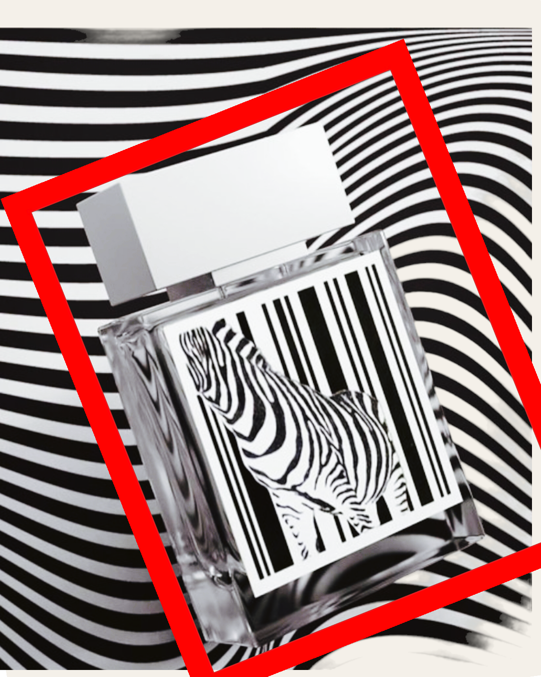 Rumz Al Rasasi Pour Elle 50ml Original by Rasasi